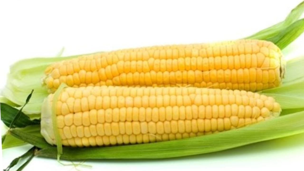 Sweet Corn : మొక్కజొన్న తినడం వల్ల కలిగే ఆరోగ్య ప్రయోజనాలు తెలుసా??