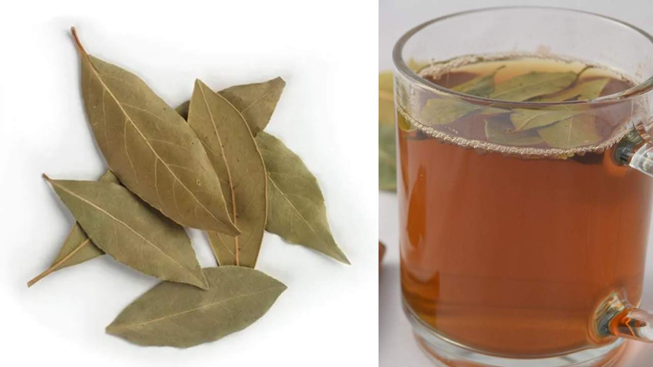 Biryani Leaf Tea : బిర్యానీ ఆకులతో టీ కూడా చేసుకోవచ్చు తెలుసా.. చాలా బెనిఫిట్స్ కూడా ఉన్నాయి..