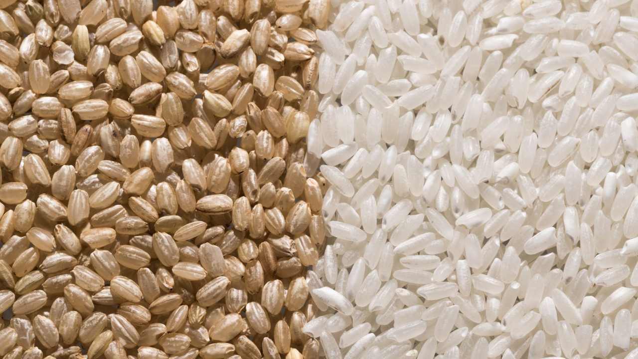 White Rice Vs Brown Rice : వైట్ రైస్ లేదా బ్రౌన్ రైస్ ఏది తినాలి??
