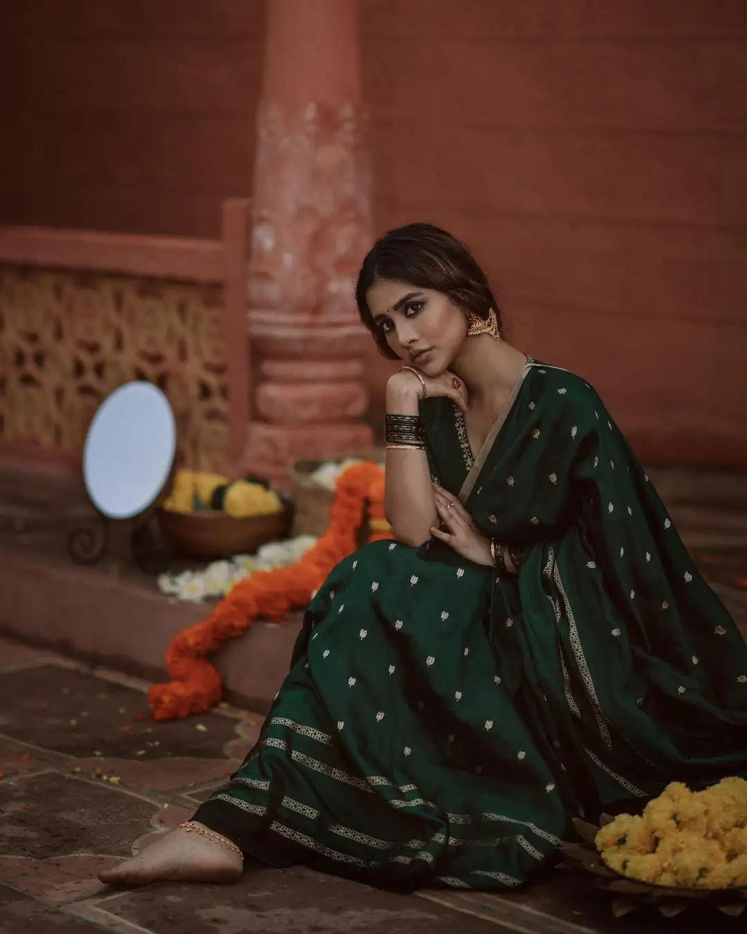 Nabha Natesh Stunning looks in Saree