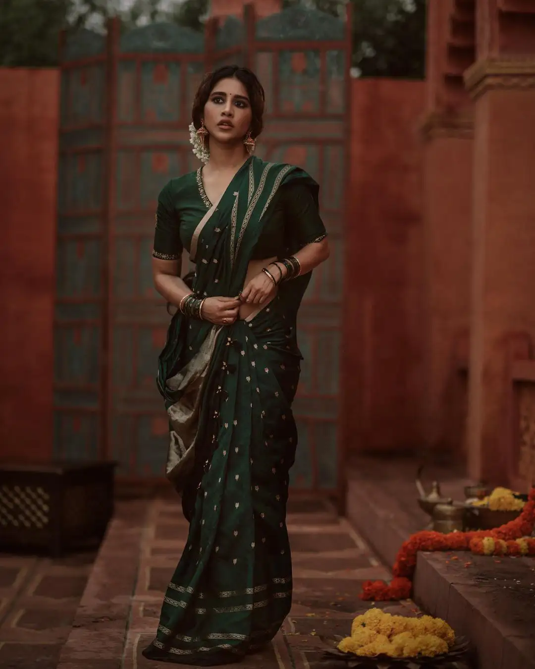 Nabha Natesh Stunning looks in Saree