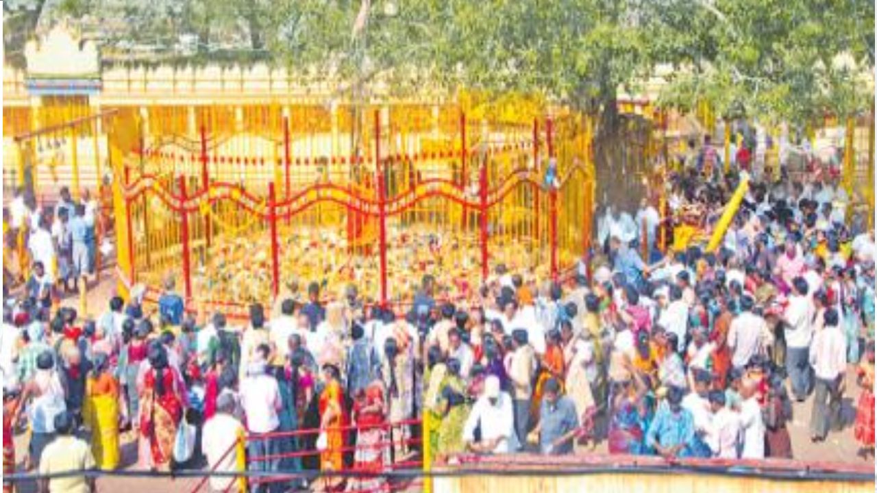 Medaram Jathara: వనమంతా జనమే.. ప్రారంభమైన సమ్మక్క, సారలమ్మ మినీ జాతర