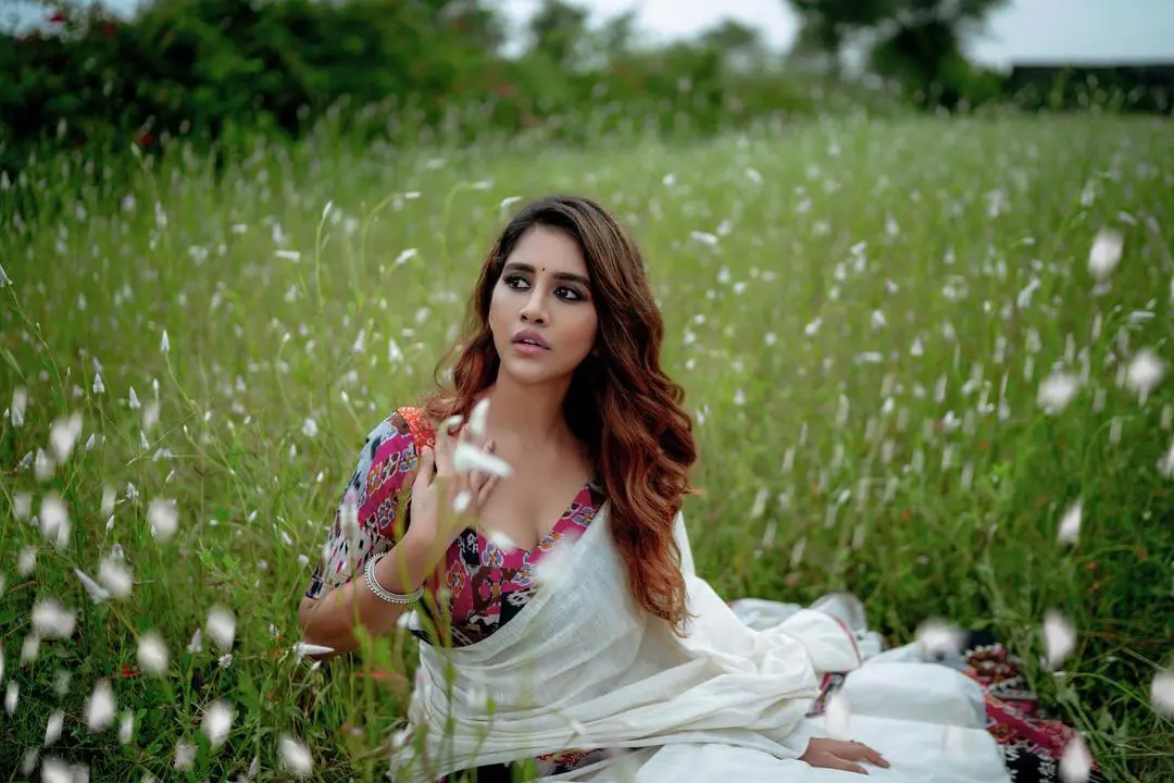 Nabha Natesh latest photoshoot in saree on green landscape