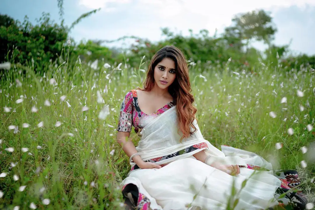 Nabha Natesh latest photoshoot in saree on green landscape