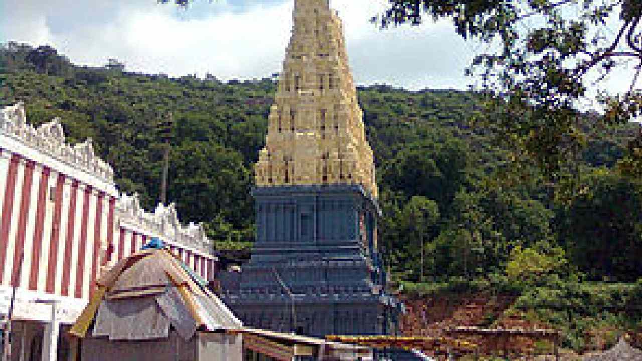 Varaha Laxminarasimha Temple: కప్ప స్తంభం గల దేవాలయం ఎక్కడ ఉందో తెలుసా..? ఆలయ విశేషాలు ఏమిటో తెలుసా…!