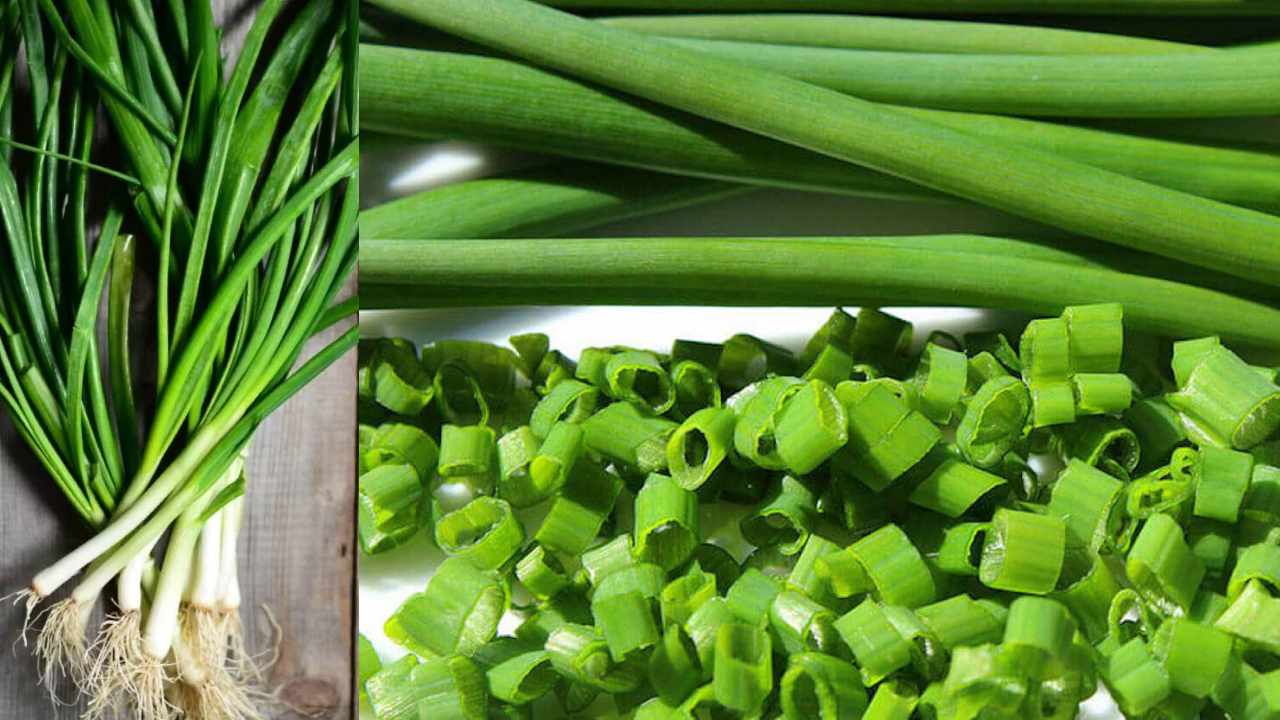 Do you know benefits of green onions and its very tasty also