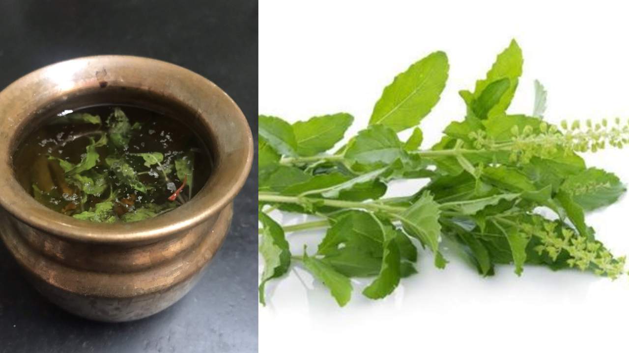 Do you know benefits of eating tulasi leaves and drinking tulasi water