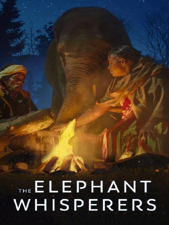 Do you know Oscar Winning film 'The Elephant Whisperers' story?