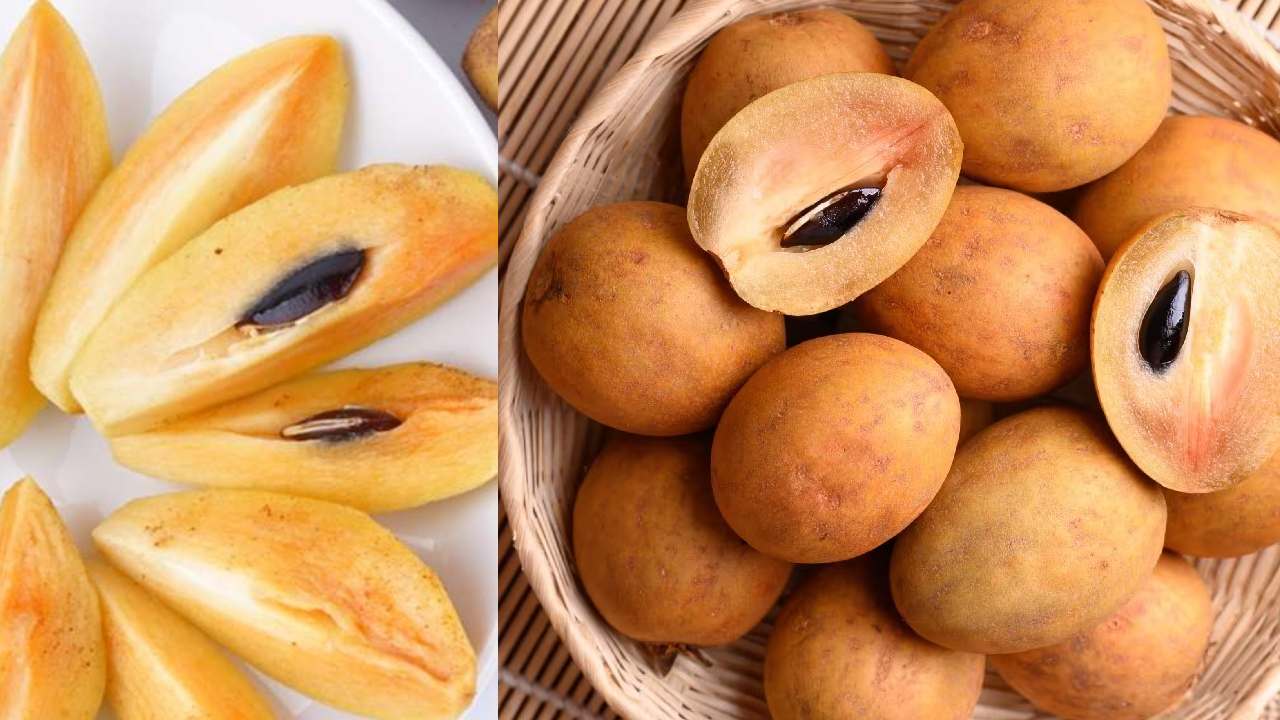 Benefits of Sapota in Summer must eat sapota in summer